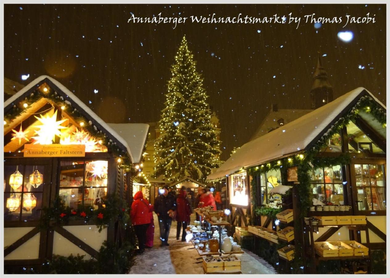 Pension Kleine Auszeit Аннаберг-Бухгольц Экстерьер фото